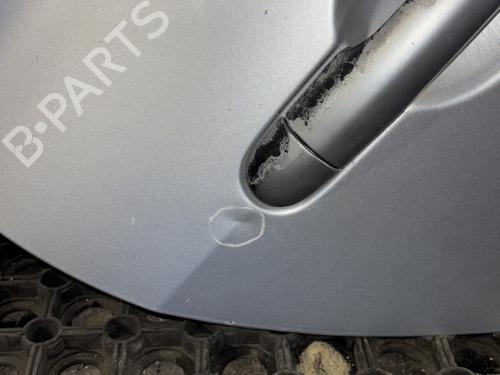 Right front door RENAULT CLIO III (BR0/1, CR0/1) 1.5 dCi (BR17, CR17) | BP31804137C3