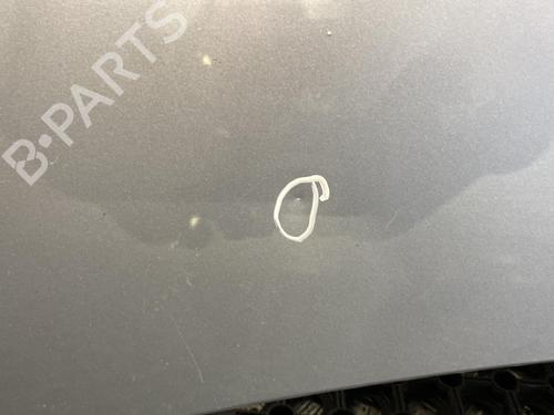 Hood VW POLO IV (9N_, 9A_) 1.4 TDI | BP20345427C1 