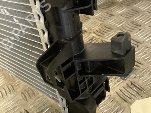 Water radiator RENAULT MASTER III Van (FV) 2.3 dCi 125 FWD (FV0C, FV0D, FV0G, FV0H, FV0J, FV0K,... | BP31290592M31