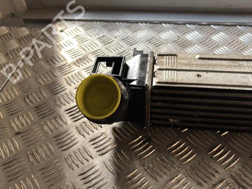 Intercooler RENAULT MEGANE III Coupe (DZ0/1_) 1.5 dCi (DZ09, DZ0D, DZ1F, DZ1G, DZ14, DZ29) | BP32213004M30