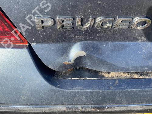Left rear door PEUGEOT 407 (6D_) 2.2 (6D3FZE, 6D3FZH) | BP20344235C4 