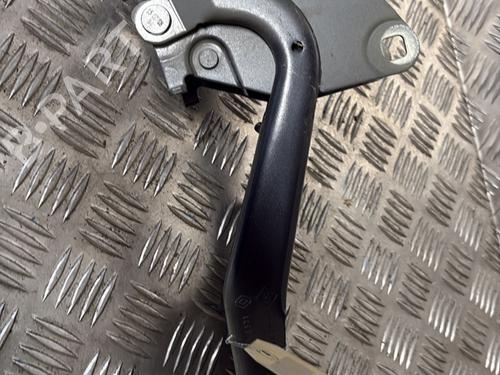 Used Hinge/Door check strap RENAULT MEGANE III Hatchback (BZ0/1_, B3_) 1.5 dCi (BZ09, BZ0D, BZ1W, BZ29, BZ14) (110 hp) 29737633
