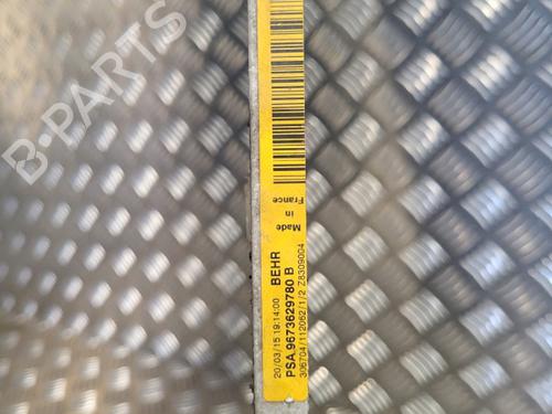 Used AC radiator AC radiator PEUGEOT 308 II (LB_, LP_, LW_, LH_, L3_) 1.6 BlueHDi 120 (120 hp) 22097126 22097126