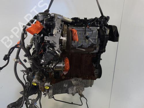 Engine RENAULT CLIO V (B7_) 1.5 Blue dCi 85 (B7AG) | BP29837917M1