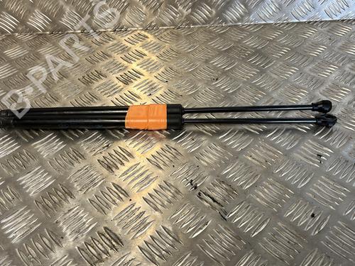 Used Tailgate lift support RENAULT SCENIC E-TECH PHASE I EV87 (218 hp) 22097491