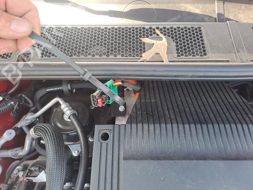 Køler OPEL CORSA F (P2JO) CORSA-e (68) | BP25600231M31 