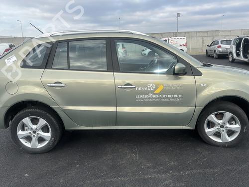 Engine RENAULT KOLEOS I (HY_) 2.0 dCi 4x4 (HY0B) | BP23789635M1 