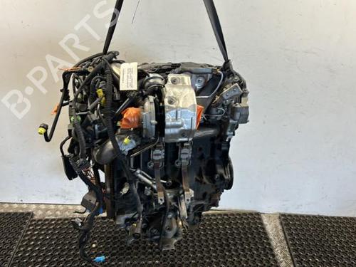 Motor RENAULT ESPACE IV (JK0/1_) 2.0 dCi (JK03, JK04, JK1C, JK1G, JK1J, JK1K) (173 hp) 22096360
