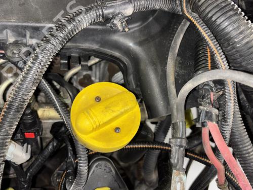 Engine RENAULT TRAFIC II Van (FL) 1.9 dCi 80 (FL0B) | BP31318821M1 