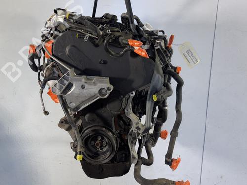 Engine VW GOLF VII (5G1, BQ1, BE1, BE2) 1.6 TDI | BP24420517M1  - Image 8