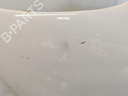 Left front fenders PEUGEOT 206 Hatchback (2A/C) 1.4 16V | BP26689881C41 