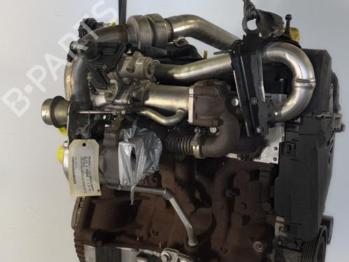 Engine RENAULT CLIO III (BR0/1, CR0/1) 1.5 dCi (BR17, CR17) | BP30901796M1 