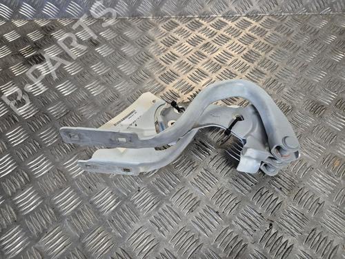 hingedoor-check-strap-fiat-500-312_-2007-37735242 main image