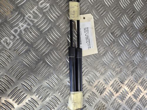 tailgate-lift-support-renault-clio-iii-br01-cr01-2005-2006-2007-2008-2009-2010-2011-2012-2013-2014-34500551 main image