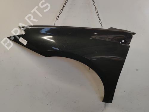 Used Left front fenders RENAULT LAGUNA III (BT0/1) 2.0 dCi (BT01, BT08, BT09, BT0E, BT0K, BT12, BT1C, BT1D,... (150 hp) 22097691