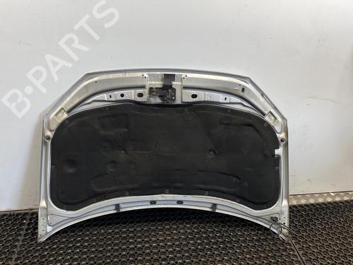 Used Hood VW POLO IV (9N_, 9A_) 1.4 TDI (70 hp) 20344004