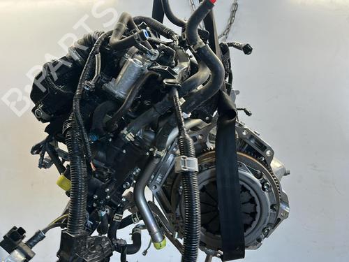 Engine SUZUKI IGNIS III (MF, FF) 1.2 Hybrid AllGrip (ATK412) | BP22095738M1 