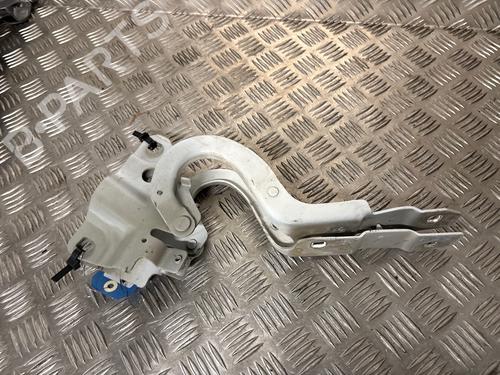 Hinge/Door check strap RENAULT ZOE (BFM_) ZOE | BP36492488C146 - Image 2