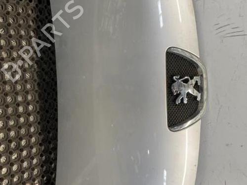 Used Hood PEUGEOT 107 (PM_, PN_) 1.0 (68 hp) 20344820