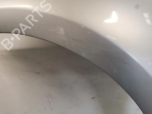 Left front fenders RENAULT CLIO III (BR0/1, CR0/1) 1.5 dCi (C/BR0G, C/BR1G) | BP29142387C41 