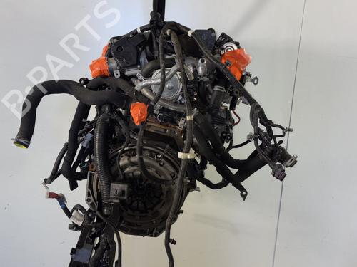 Engine RENAULT CLIO V (B7_) 1.5 Blue dCi 85 (B7AG) | BP29837917M1