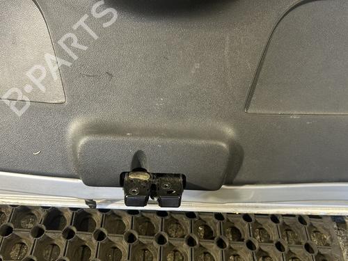 Tailgate RENAULT CLIO III (BR0/1, CR0/1) 1.2 16V (BR0P, CR0P) | BP28111605C6