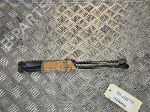 hood-lift-support-renault-kangoo-grand-kangoo-ii-kw01_-2008-36492403 main image