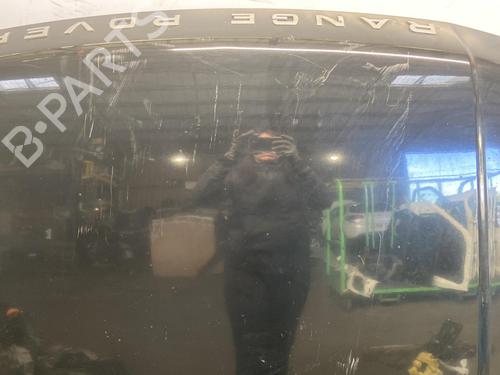 Used Hood LAND ROVER RANGE ROVER SPORT I (L320) 2.7 D 4x4 (190 hp) 20345017
