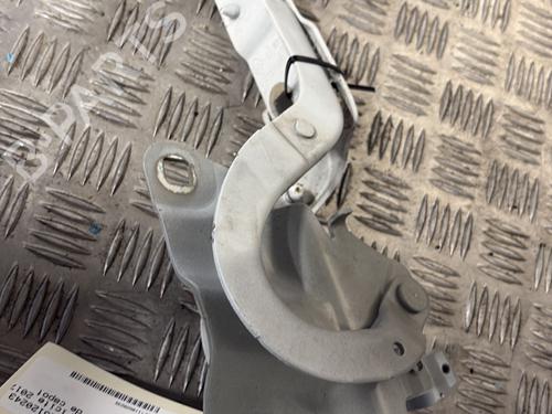 Used Hinge/Door check strap RENAULT ZOE (BFM_) ZOE (92 hp) 31173611