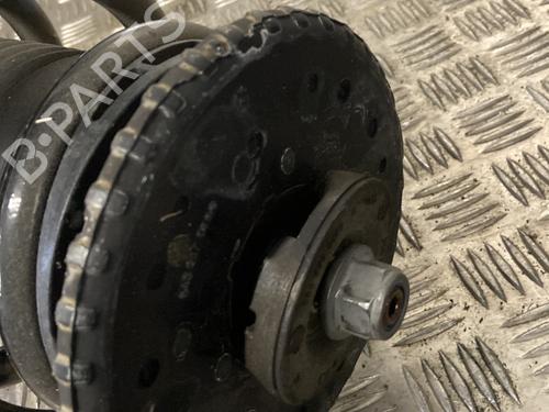 right-front-shock-absorber-renault-master-iii-van-fv-2010-31290579 main image