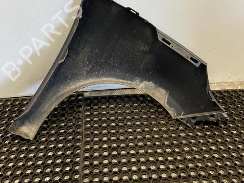 Left front fenders RENAULT SCÉNIC III (JZ0/1_) 1.5 dCi | BP20348465C41 
