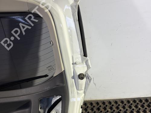 Tailgate RENAULT MEGANE III Hatchback (BZ0/1_, B3_) 1.5 dCi (BZ0C) | BP30100338C6