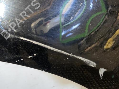 Left front fenders LAND ROVER RANGE ROVER SPORT I (L320) 2.7 D 4x4 | BP22095956C41 