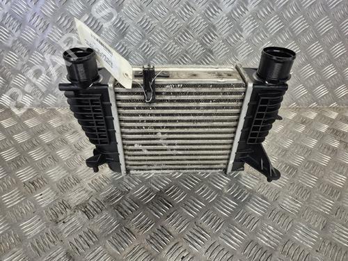 Intercooler Intercooler RENAULT CLIO III (BR0/1, CR0/1) [2005-2014] 36400042 36400042