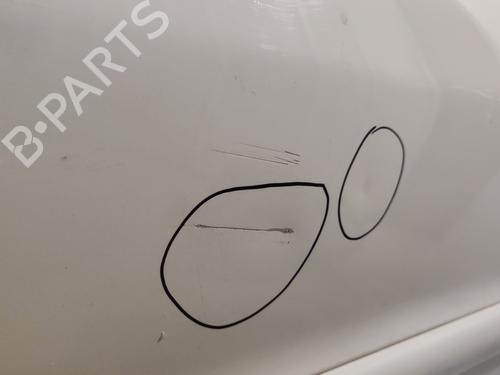 Left front door PEUGEOT 206+ (2L_, 2M_) 1.4 HDi eco 70 | BP20343479C2 