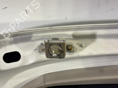 Tailgate RENAULT MEGANE III Hatchback (BZ0/1_, B3_) 1.5 dCi (BZ0C) | BP30100338C6