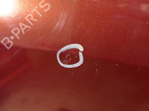 Left rear door RENAULT CLIO III (BR0/1, CR0/1) 1.4 16V | BP28569971C4 
