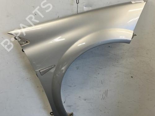 Used Right front fenders RENAULT MEGANE II (BM0/1_, CM0/1_) 1.9 dCi (131 hp) 22096699