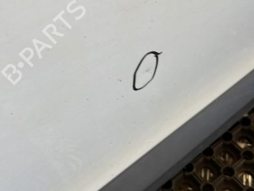 Left front door RENAULT MEGANE III Hatchback (BZ0/1_, B3_) 1.9 dCi (BZ0N, BZ0J) | BP22096971C2 