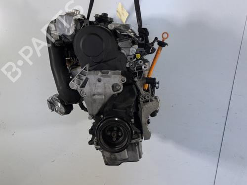 Motor VW GOLF V (1K1) 1.9 TDI | BP31038879M1 