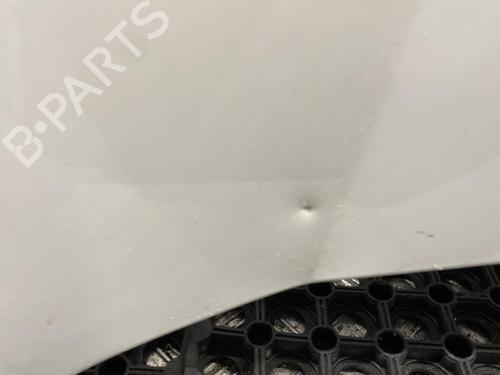 Used Hood PEUGEOT BIPPER (AA_) 1.4 HDi (68 hp) 20345416