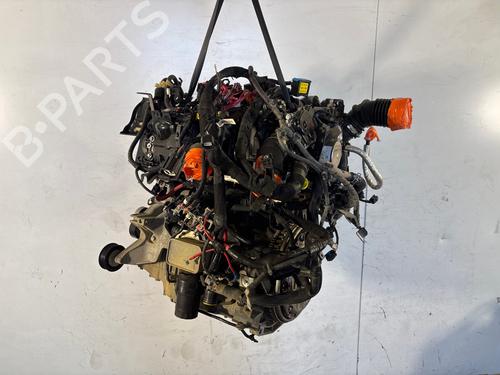Engine RENAULT KANGOO Express (FW0/1_) 1.5 dCi 80 (FW15) | BP39152955M1 - Image 8