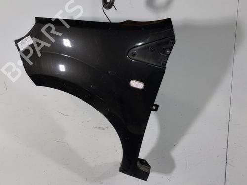left-front-fenders-renault-twingo-ii-cn0_-2007-32413074 main image