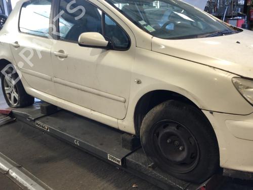 Left front door PEUGEOT 307 (3A/C) 2.0 HDi 90 | BP20347219C2 