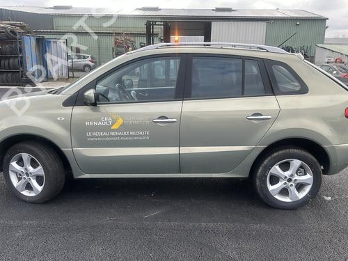 Engine RENAULT KOLEOS I (HY_) 2.0 dCi 4x4 (HY0B) | BP23789635M1 