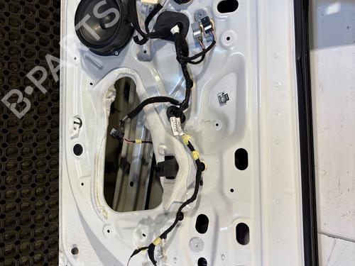 portier-rechts-voor-renault-megane-e-tech-suv-2021-37735269 main image