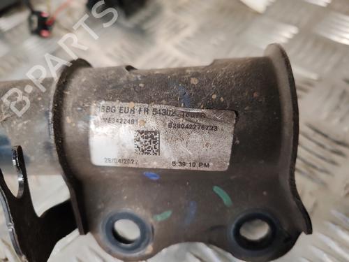 Left front shock absorber DACIA SPRING EV (B6M1) | BP22718591M16 