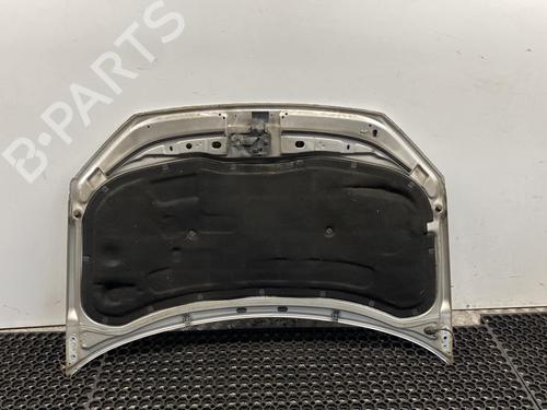 Used Hood VW POLO IV (9N_, 9A_) 1.4 TDI (80 hp) 20345427