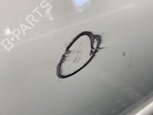 Right front door PEUGEOT 206+ (2L_, 2M_) 1.4 HDi eco 70 | BP20343480C3