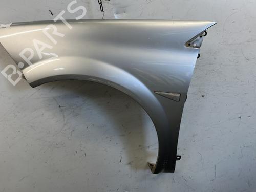 Used Left front fenders RENAULT MEGANE II (BM0/1_, CM0/1_) 1.9 dCi (131 hp) 22096700